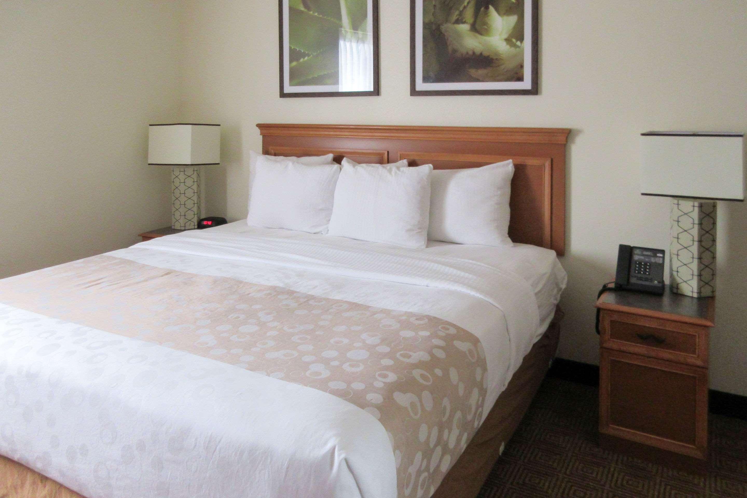 Quality Inn & Suites Raleigh Durham Airport Morrisville Exterior foto